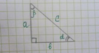 Как найти площадь прямоугольного треугольника необычным способом